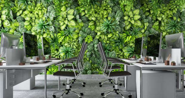 The challenges of building a sustainable workplace